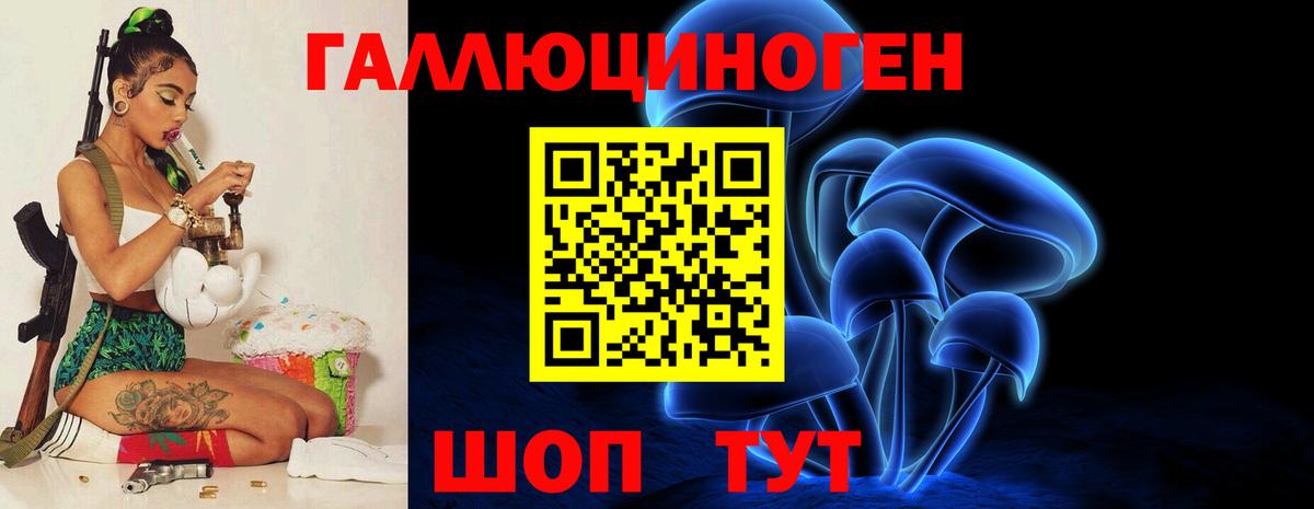 Псилоцибиновые грибы мухоморы  Псилоцибиновые грибы Psilocybine cubensis  Кстово  Вход с VPN 